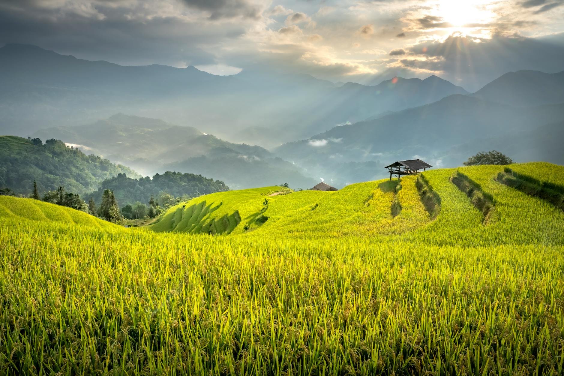 工具推荐 (Tool Spotlight): 2026-04-25