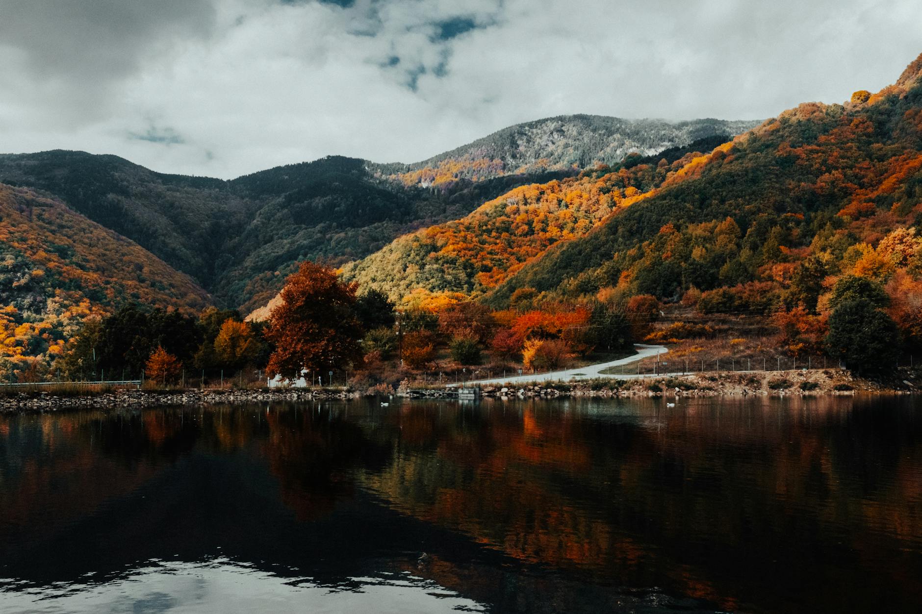 工具推荐 (Tool Spotlight): 2026-04-28